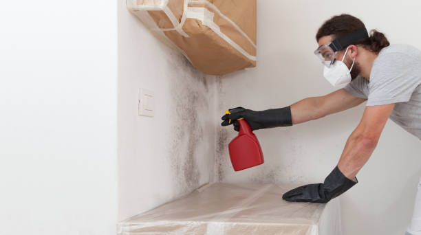 Professional Mold Inspection And Testing technician working in Sparta, MI