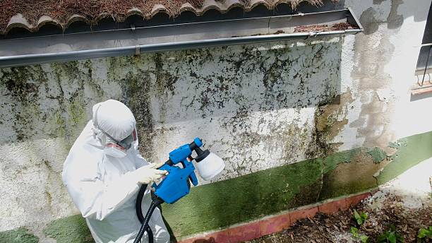 Top rated local Mold Inspection And Testing specialists in Sparta, MI